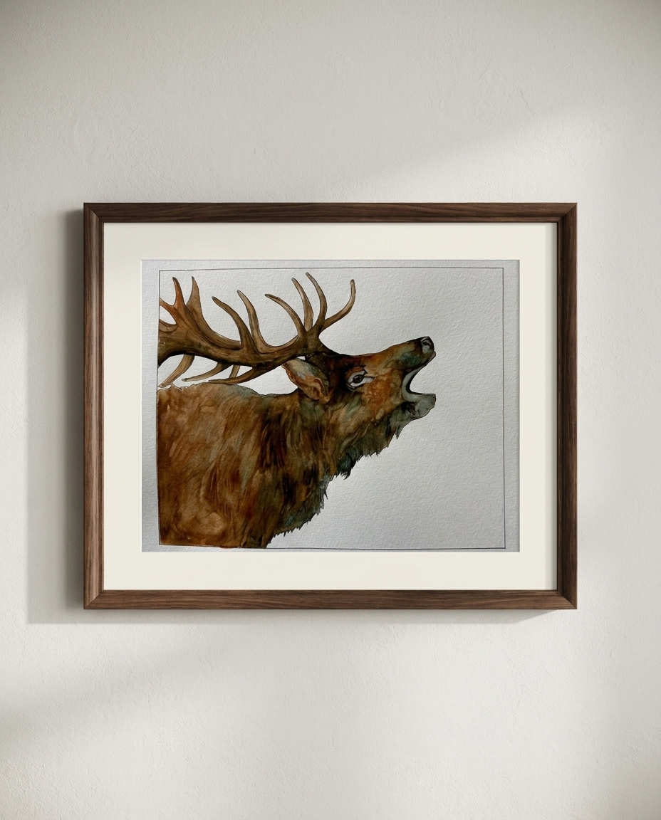 Cervus canadensis
